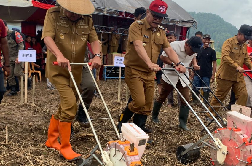 Didampingi Bupati Limi, Gubernur Olly Canangkan Penanaman Jagung dan Holtikultura di Desa Tungoi 